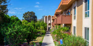 Volterra at La Mesa Gallery 87