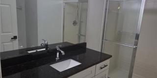 3642 Pine Oak Cir Gallery 17