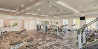 Windsor Pembroke Pines Gallery 41