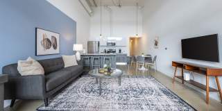 The Harrison Gallery 19