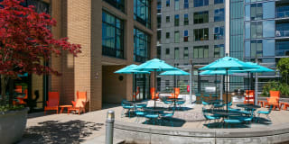 Museum Place Gallery 14