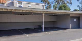 Ocean Vista Gallery 18