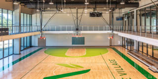 The Village Drey Gallery 58