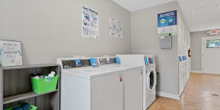 Hawthorne at the Hall Gallery 13