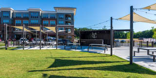 Carraway Village Gallery 25