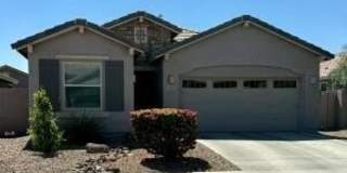 3883 E Desert Broom Drive Gallery 1