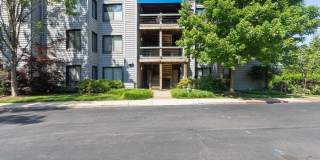 3 SPA CREEK Landing Gallery 2