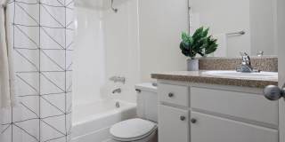 Ocean Club Gallery 31