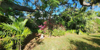 3037 CREST DRIVE Gallery 40