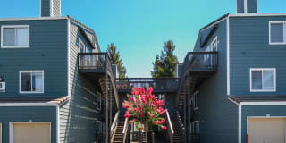 Waterscape Gallery 15