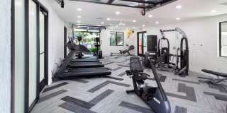 Whimsical Pig Gallery 5