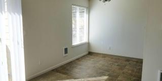 Birch Meadow Gallery 10