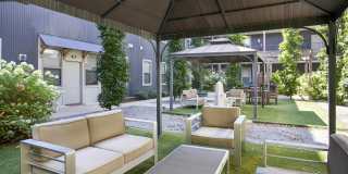 Thrive Argenta Gallery 28