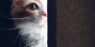 Huntington Pointe III Gallery 26