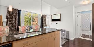Fully Furnished Studio Condo at The Adelicia Gallery 5