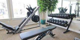 Steeplechase Apartments Gallery 22