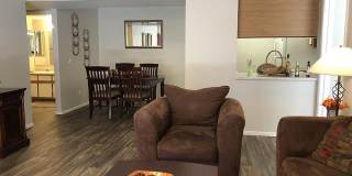 Ventana Palms Gallery 19