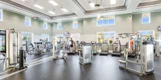 ** 2 BED-2 BATH ** FIRST FLOOR ** LUXURY COTTAGE IN THE ISLES OF COLLIER PRESERVE NAPLES FLORIDA ** SEASONAL ** Gallery 39