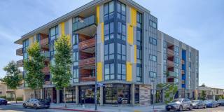 Cerrito Vista Gallery 1