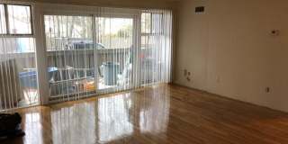202 Central Gallery 1