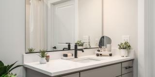 Taylor Flats Gallery 9