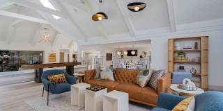 Steeplechase Gallery 10