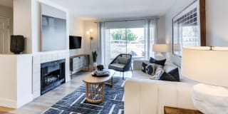 Sofi Ocean Hills Gallery 5