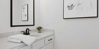 Cigar Hill Gallery 11