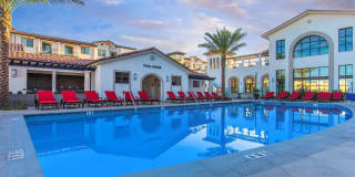 Vineyards Gallery 47