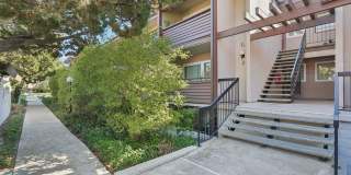 Upstairs Bright 2 bedroom Condo Gallery 39