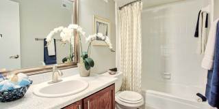 Trails of Valley Ranch Gallery 15