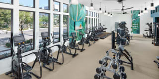 Homecoming at The Resort Apartments Gallery 54