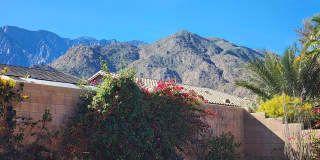 1207 Palmas Ridge Gallery 17