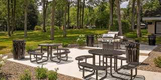 Vairo Village Gallery 24