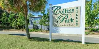 Collins Park Gallery 9