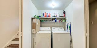 3102 Cedar Gallery 21