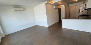 56 Vernon Avenue Gallery 2