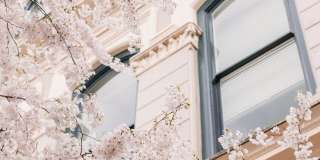 North Hollow Gallery 41