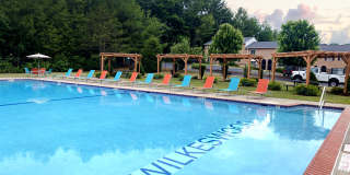 Wilkeswood Gallery 1