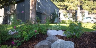 Sierra Vista Apartments Gallery 6