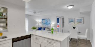 Boca Colony Gallery 17