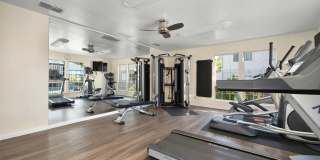 Cobblestone Creek Gallery 21