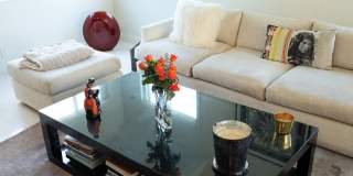 3063 Deep Canyon Dr Gallery 6