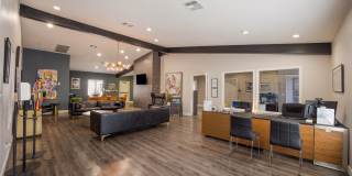 2900 Lux Apartment Homes Gallery 11