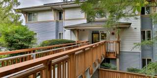 Ivy Ridge Apartments Gallery 35