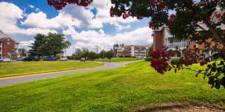 The Crest on Hampton Hollow Gallery 29