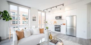 Collection 14 Gallery 2