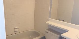 Fantastic 2-Bedroom Townhome in Briargate! Union and Lexington. Gallery 11