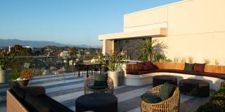 Belle on Bev Belle on Bev Gallery 71