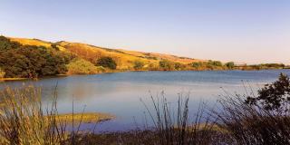 Monterey Grove Apartments Monterey Grove Apartments Gallery 25